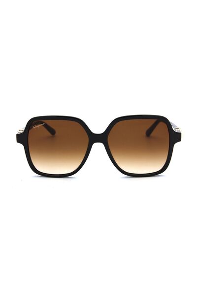Salvatore Ferragamo Sf 1083S C208 Women Sun Glasses