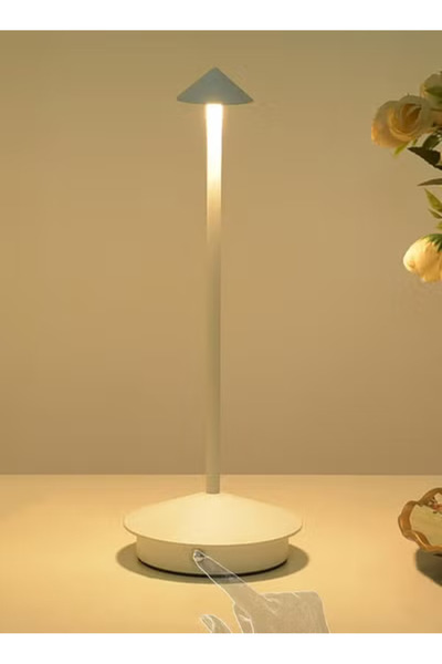 Taimi Wireless Touch Table Lamp Dimmable Battery Operated Rechargeable 3 Color LED Desk Lamp