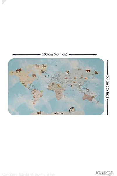 SONİKON LİNE Educational World Map World Atlas Kids Room Wall Sticker, Decorative, 3828