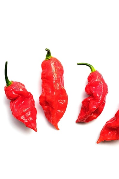 prestijiseed 20 Adet Tohum Orjinal Bhut jolokia Biber Tohumu Naga Jolokia Hay...