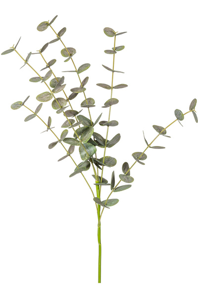 Herdekora Yapay Okaliptus Dalı Gerçek Dokulu Yeşil 87 cm.