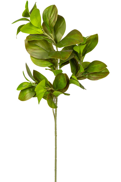 Herdekora Yapay Manolya Dalı Kızıl/Yeşil 70 Cm.