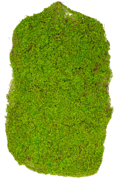 Herdekora طبقة من الأعشاب البحرية الاصطناعية 35x56 سم.