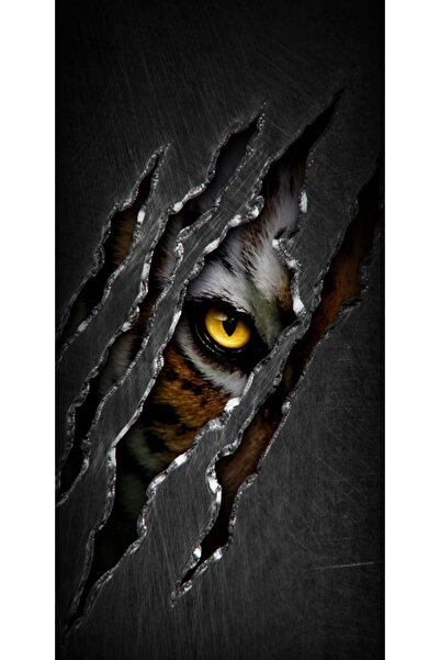 Atlas Husa Personalizata ASUS ZenFone Max M2 ZB633KL Ochi de tigru