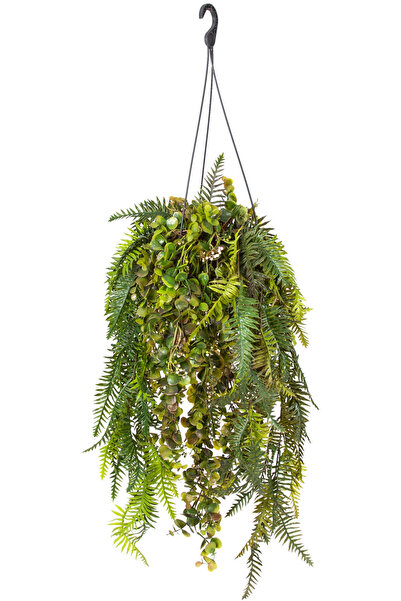 Herdekora Askılı Saksıda Sarmaşık Yeşil 120 Cm.