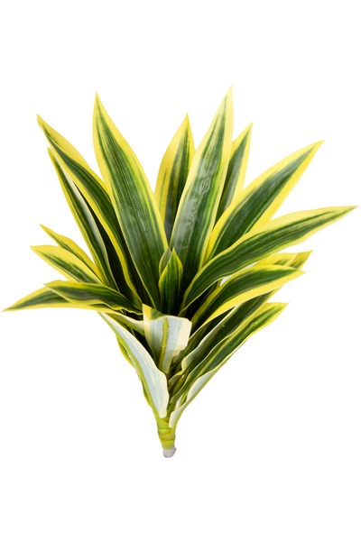 Herdekora Yapay Yuka Bitkisi Yeşil/Sarı 25 Cm.