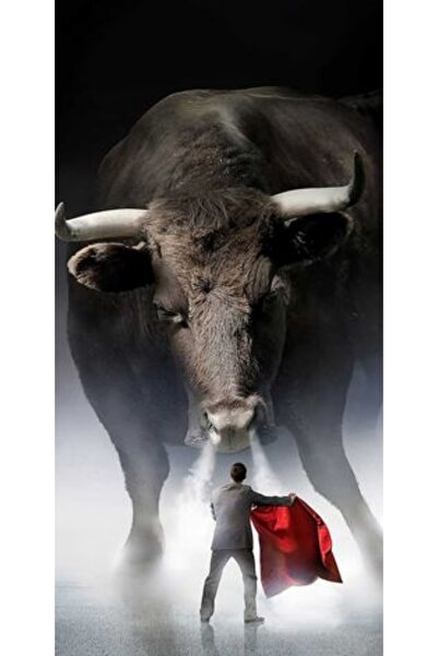 Atlas Husa Personalizata XIAOMI Redmi Note 8 Pro Toreador