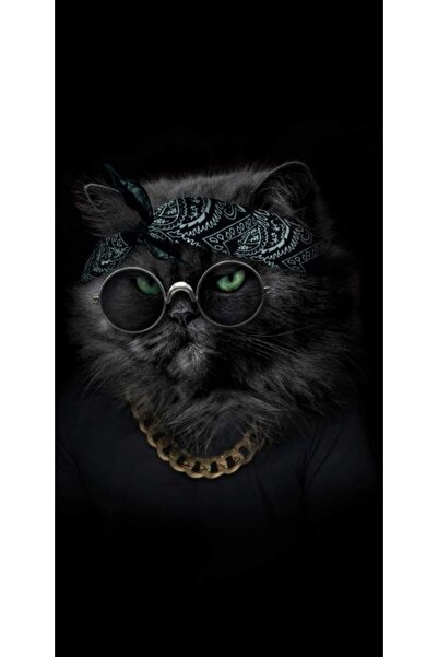 Atlas Husa Personalizata LG XPower 2 Hippy cat