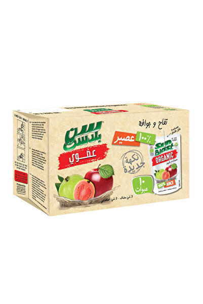 Sun Blast عصير التفاح والجوافة العضوي، 200 مل × 10