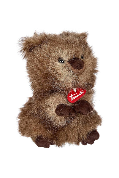 NEWBRENDHOME ألعاب تعليمية تفاعلية ترودي قطيفة على شكل كوكا ماكسيميليان 20 سم...