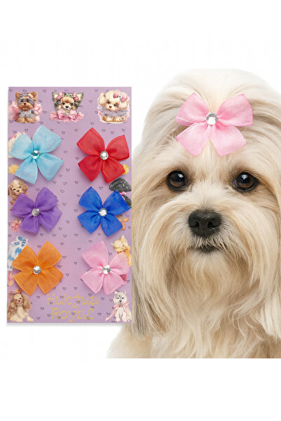 Hubjua Royal Cat Dog Elastic Stone Buckle Stylish Design 6 Pieces in Mixed Colors