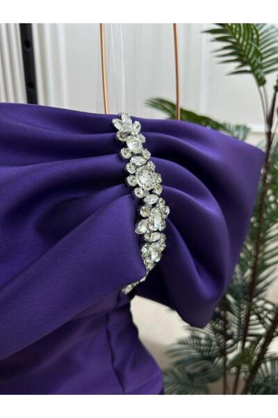 Generic Purple Long Evening Gown with Tulle