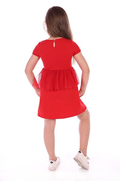 Toontoy Baby Girl Cup Cake Embroidered Dress