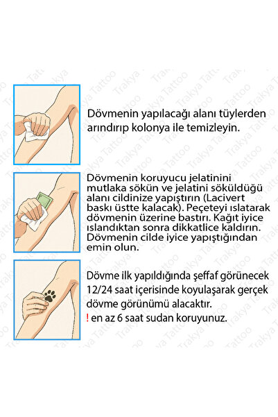 Trakya Tattoo Yarı Kalıcı Dövme Gezegen Geçici Dövme GZS-047