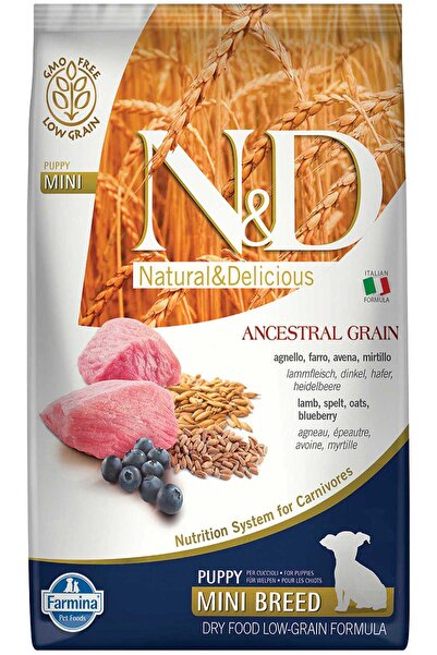 N&D ND Ancestral Grain Düşük Tahıllı Kuzu Eti ve Yaban Mersinli Küçük Irk Yavru Köpek Maması 7kg Luxury