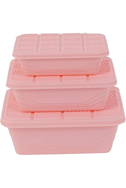 erorex Plastic Container Storage Box Set 3 Piece Pink Bpa Free Multi Size Food Storage Containers