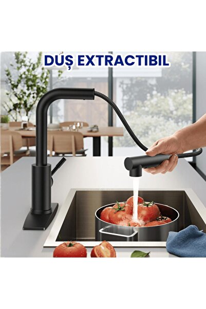 Elindor Premium Kitchen Faucet with Pull-out Spray, 360°, Stainless Steel, Single Lever, Black