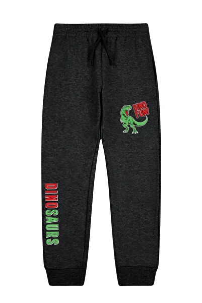 panios kids Dino Fun Printed Double Pocket Boys Jogger Sweatpants