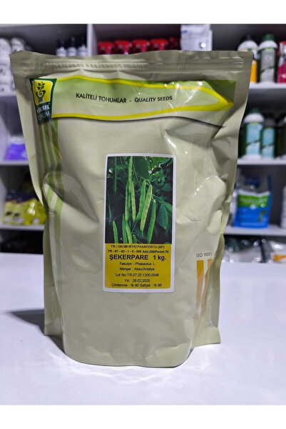 yüksel tohum Şekerpare Sırık Fasulye Tohumu