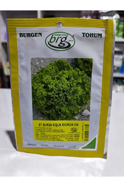 Bursa Tohumculuk Bursa Kışlık Marul Tohumu