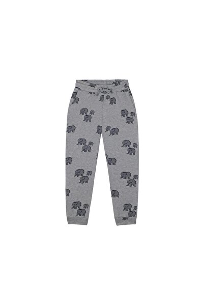 Antebies Fil Eşofman