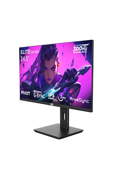 DRAGOS ELITESeries E245FHD300 1ms FHD 300Hz 24.5" FreeSync G-Sync IPS Pivot Oyuncu Monitörü