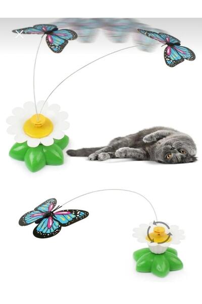 PETS & OTHERS الفراشة الدوارة المتحركة - لعبة القطة