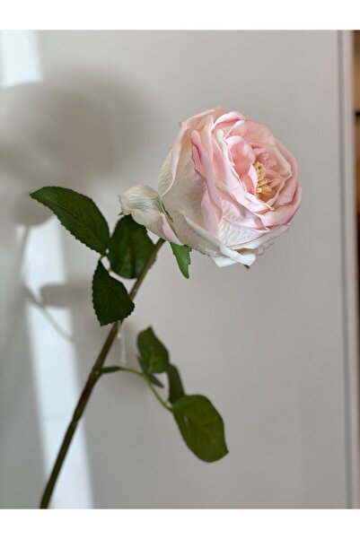 Dekordan House Yapay 1.Kalite Islak Dokulu Pembe Şakayık (Tek Dal)