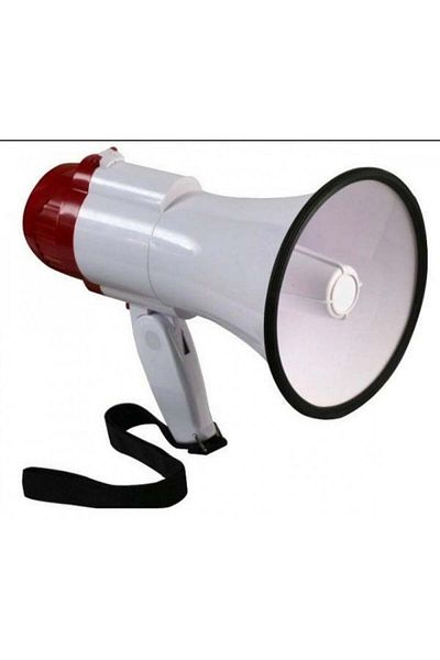 DLC 20W microphone