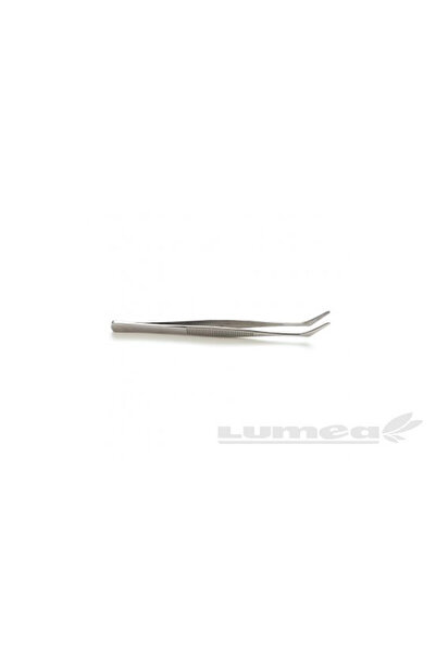 Lumea Penseta pentru decorare - Decora