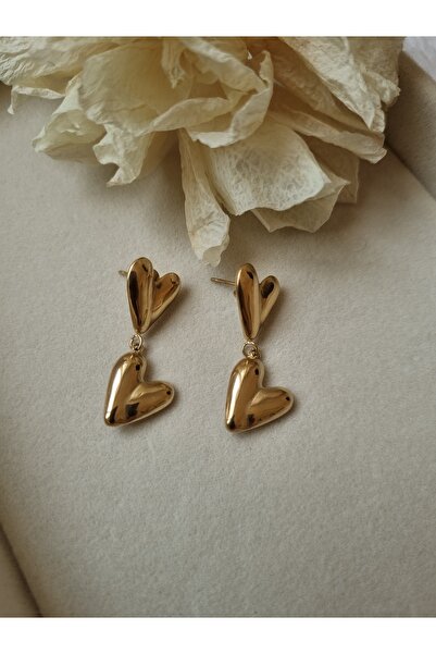 Gemnest Accessories Kalpli Sallanan Çelik Küpe