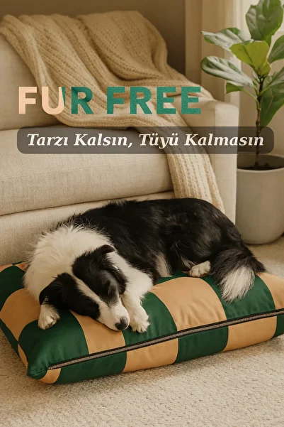 Jungolica Pet Products Fur Free, Hair Resistant, Comfortable Cat and Dog Mat with Removable Cover, Easy to Clean