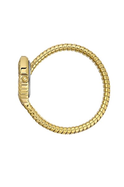 Daniel Klein Dk.13.10084-2/Sa Women's Wristwatch