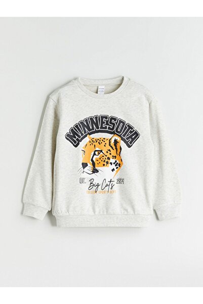 LC Waikiki Crew neck boys' sweatshirt