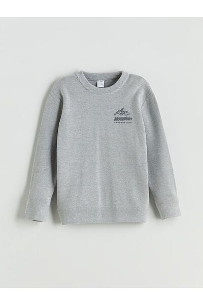 LC Waikiki Lcw Kids Crew Neck Printed Boys' Knitwear Sweater