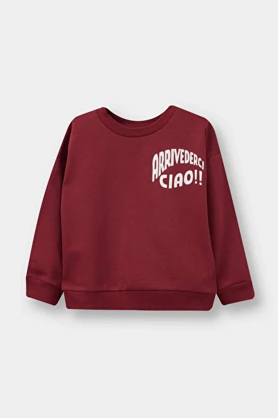 DeFacto Baby Boy Crew Neck Printed 2-Piece Sweatshirt E9228A525Au