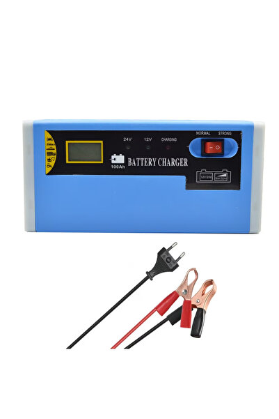 YNG Redresor auto standard 12/24V, 10A, afisaj LED, 200Ah