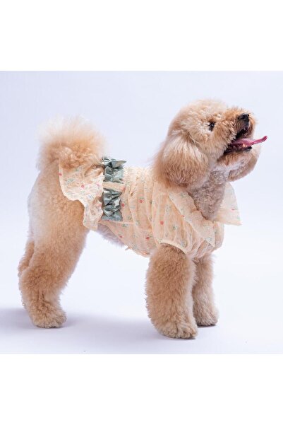 Pawstar Sarı Valencia Çiçek Desenli Elbise Kedi Köpek Elbisesi - Kedi Köpek K...