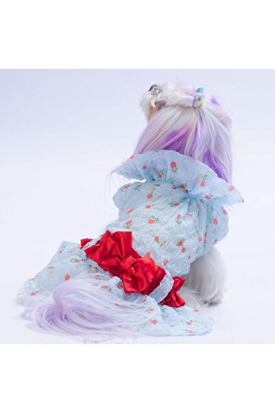 Pawstar Mavi Valencia Çiçek Desenli Elbise Kedi Köpek Elbisesi - Kedi Köpek K...