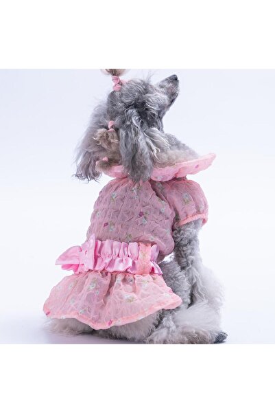 Pawstar Pembe Valencia Çiçek Desenli Elbise Kedi Köpek Elbisesi - Kedi Köpek ...
