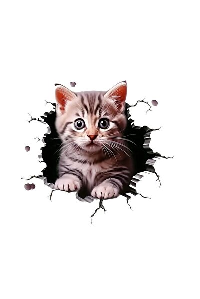 Çağlayan Reklam 3D kedi Motorsiklet,cam, Laptop, Kask, Araba Sticker 13x13 Cm