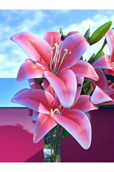 Happyland Yapay Çiçek Lilyum Demeti Tomurcuklu Pembe 1 Demet 9 ^lu 50 cm