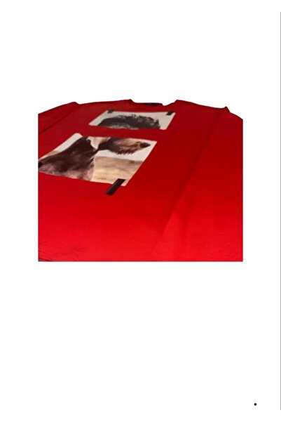 Sisley Bluza Sisley, 13-14 years, 170 cm