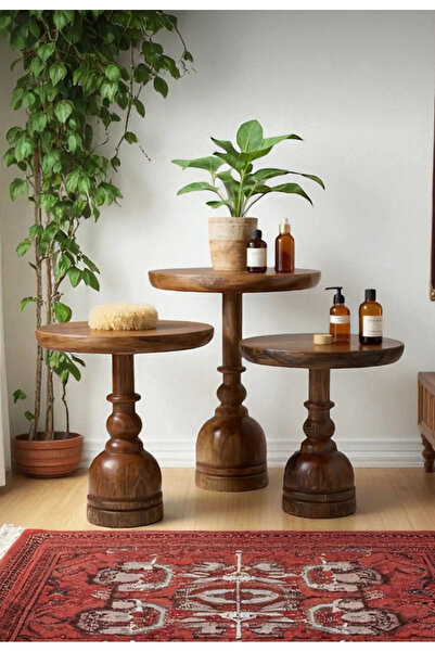 AYLESA Doğal Ahşap 3’lü Set Mantar Yan Sehpa Modern Fiskos Zigon Çiçeklik