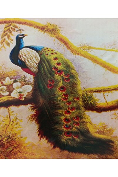 mentaş grup Framed Diamond Painting Beaded Tapestry Set Peacock Size 50X40