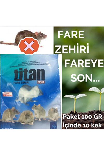 ViATOM FARE SIÇAN PASTASI FARE İLACI FARE ZEHİRİ 1 PAKET 100GR 1 PAKET İÇİ 10...