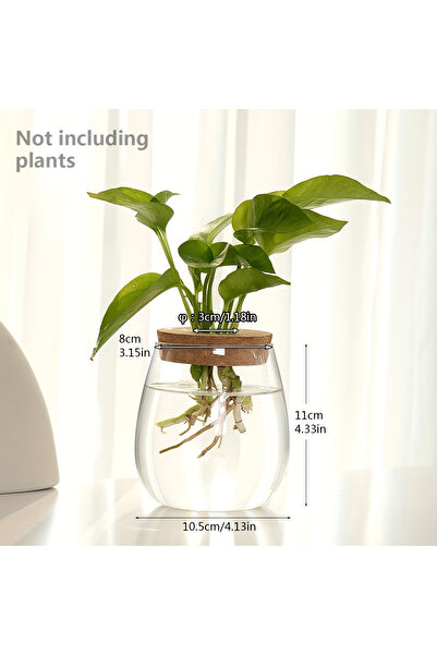 Choice Y-4.33inX4.13in قطعة واحدة، وعاء زجاجي لزراعة النباتات، محطة إكثار، رف...