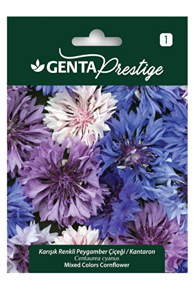 Genta Karışık Renkli Peygamber Çiçeği - Kantaron Tohumu
