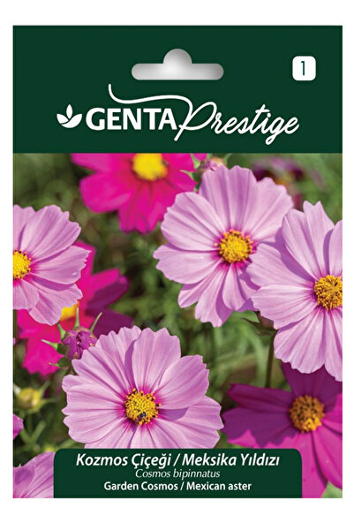 Genta Kozmos - Meksika Yıldızı Çiçeği Tohumu