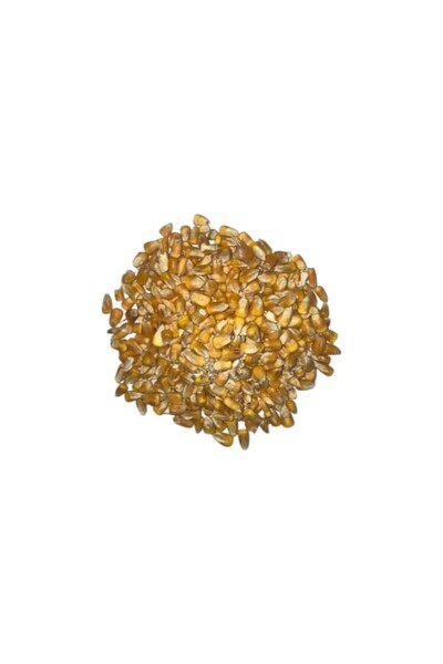 3 KG bütün mısır yemi